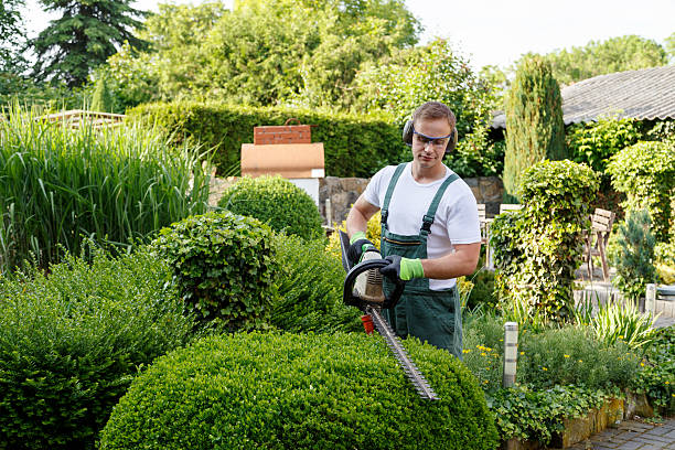 Best Lawn Watering Services  in Hope Valley, RI